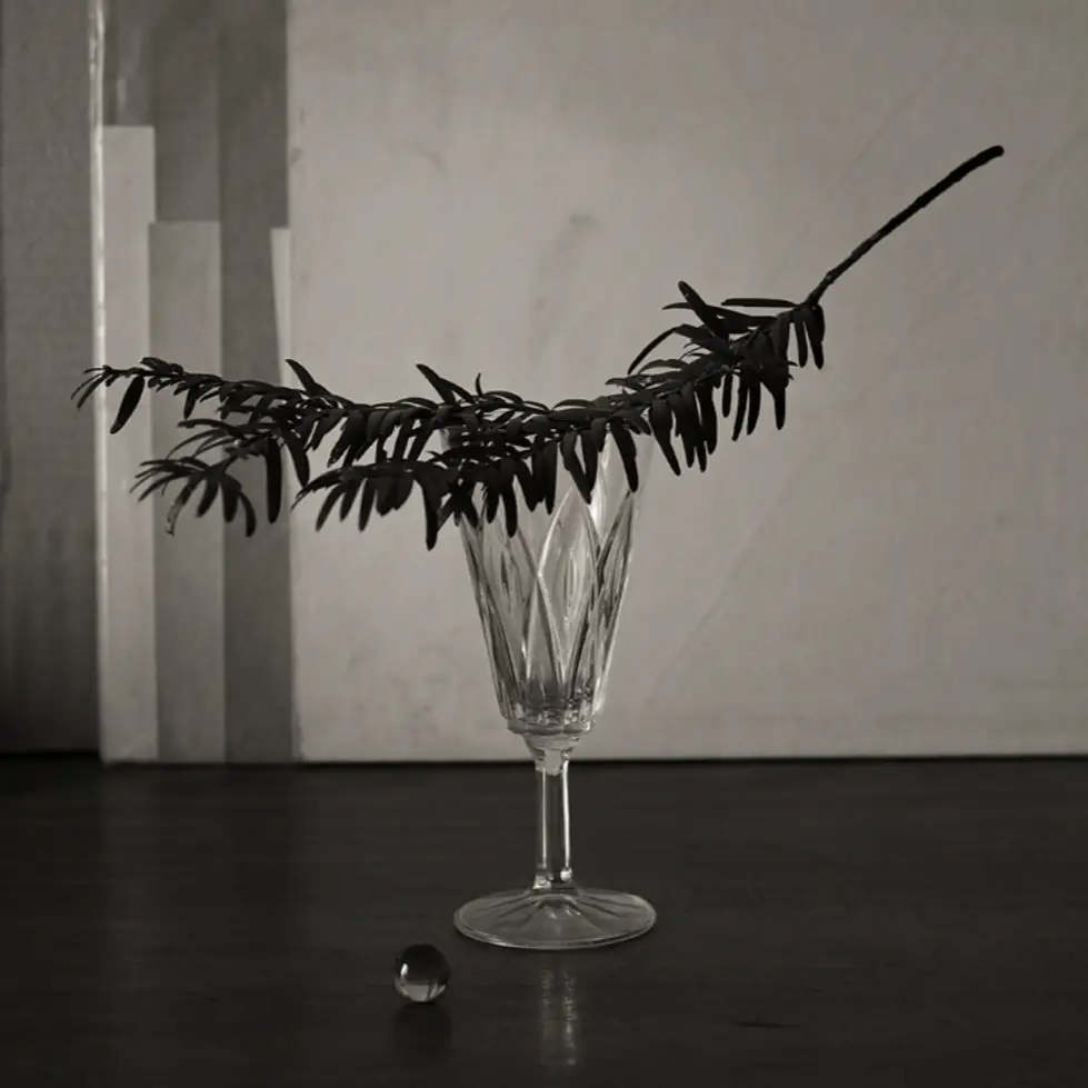 Nature_Morte1