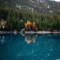 pexels-ryank-11917602